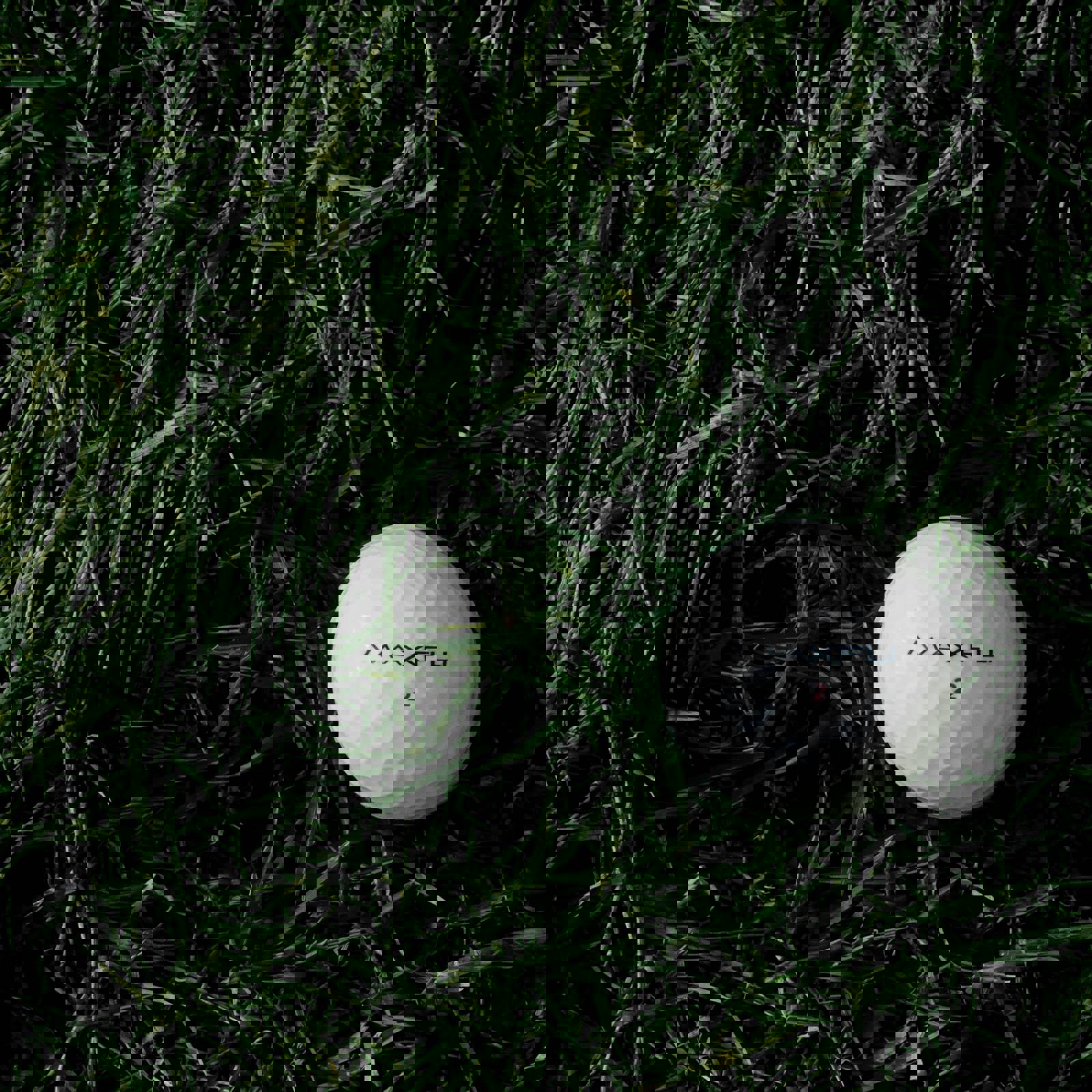 Ben Hershey Xabr Tuk814 Unsplash