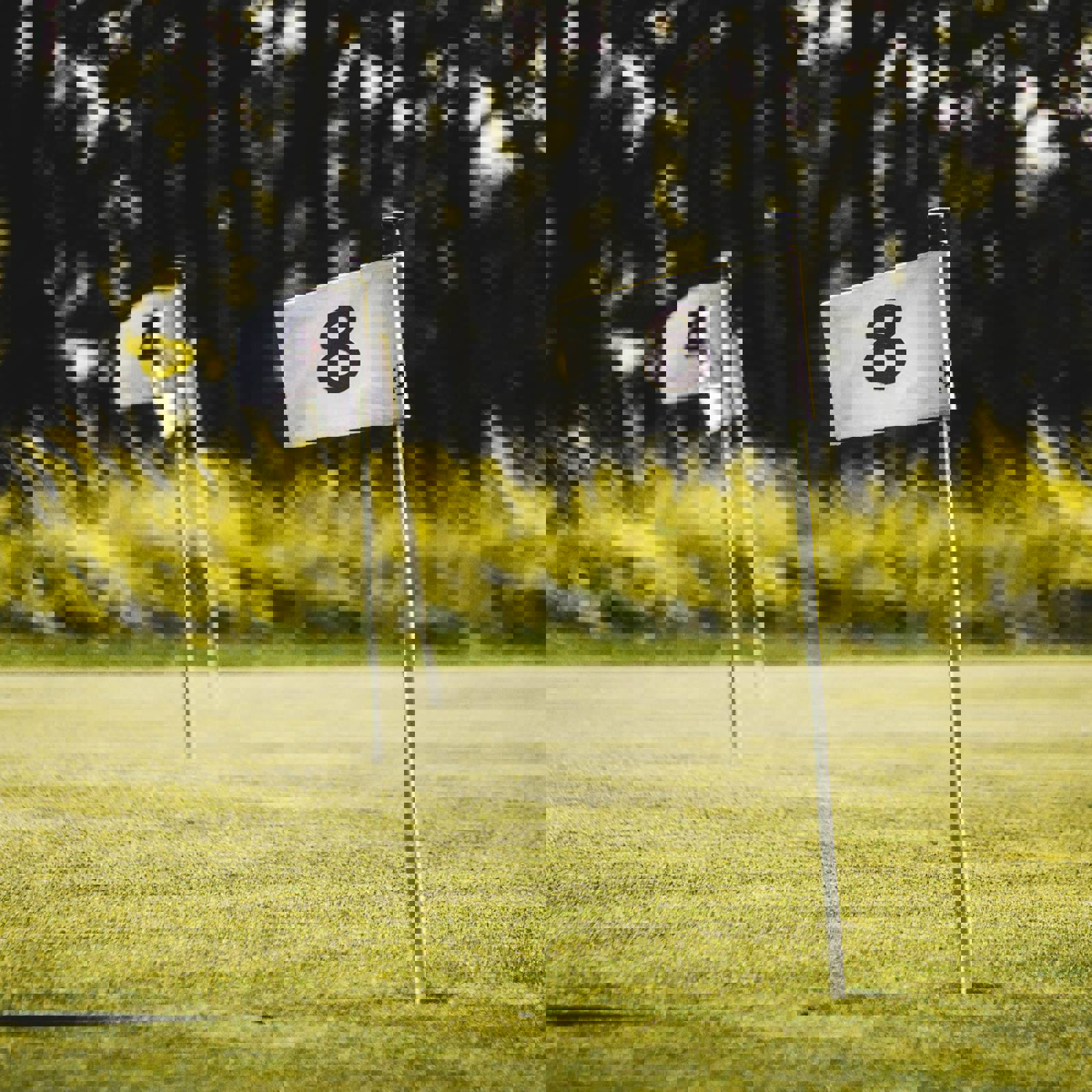 Viktor Ritsvall BIMH6 Tlamq Unsplash