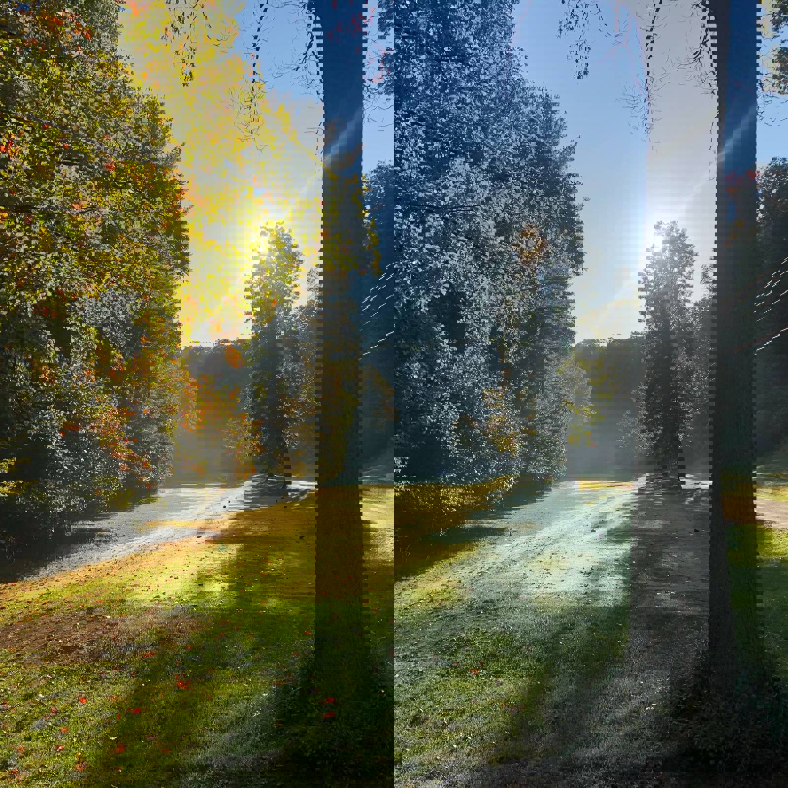 Robert Baird 5Kgvgr7ef7y Unsplash