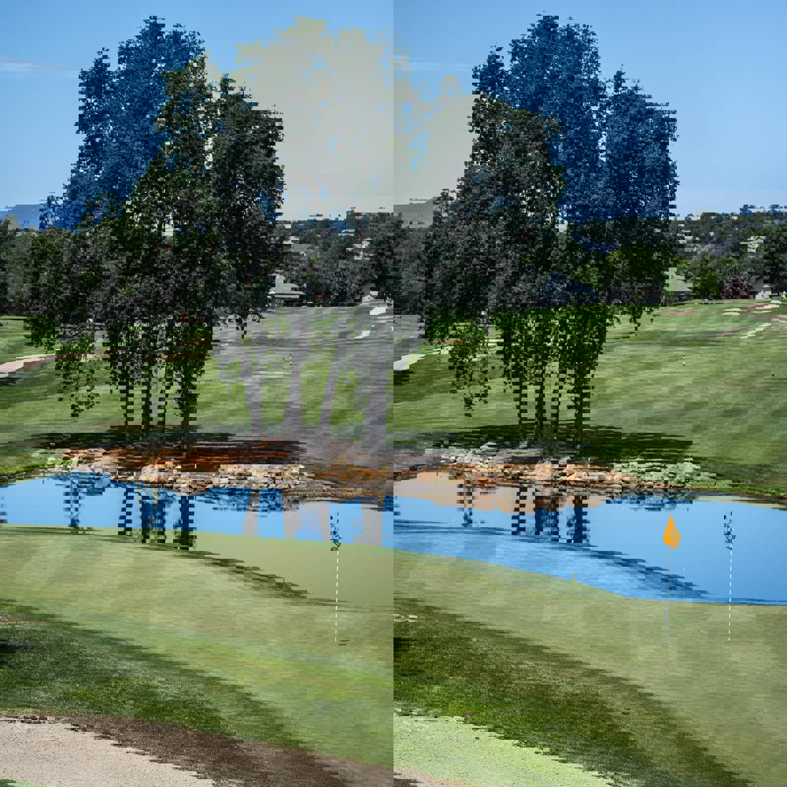 Edewaa Foster V2xlpvsnmya Unsplash