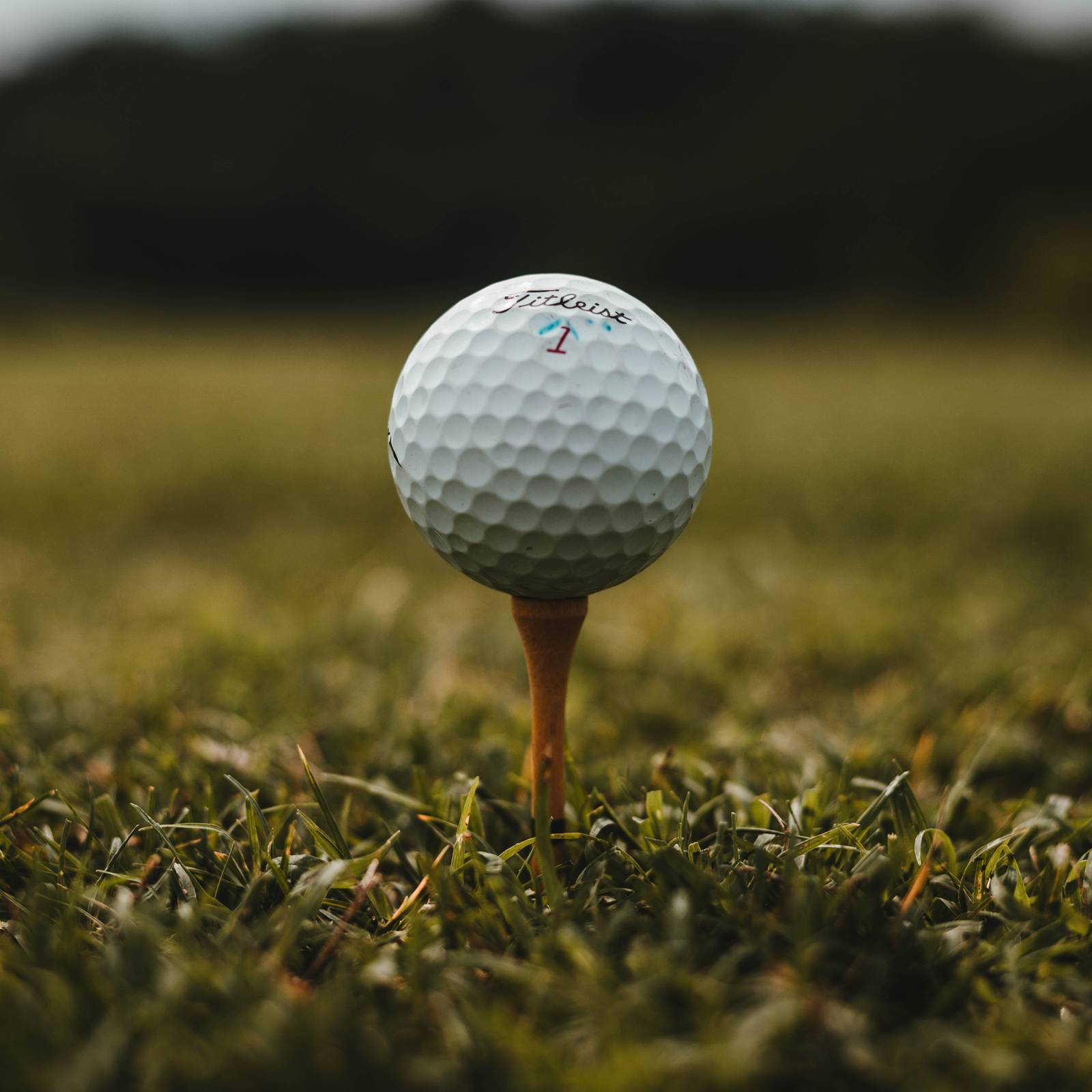 Will Porada Uy5zequoscs Unsplash